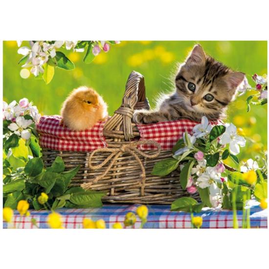 Jumbo-Puzzle vorbereitet für das Picknick mit 500 Teilen