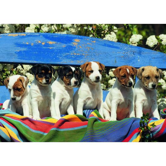 Jumbo-Puzzle Was sind das für 1000 Teile?