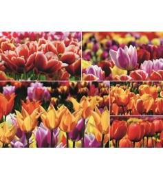 Jumbo-Puzzle Niederländische Tulpen 1000 Teile