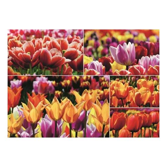 Jumbo-Puzzle Niederländische Tulpen 1000 Teile