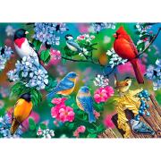 MasterPieces 1000-teiliges Singvogel-Collage-Puzzle