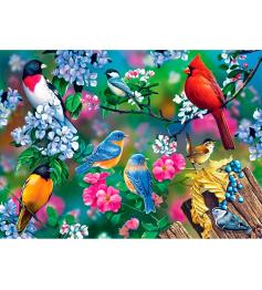 MasterPieces 1000-teiliges Singvogel-Collage-Puzzle