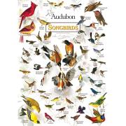 MasterPieces Songbirds 1000-teiliges Puzzle