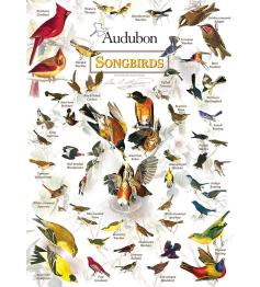 MasterPieces Songbirds 1000-teiliges Puzzle