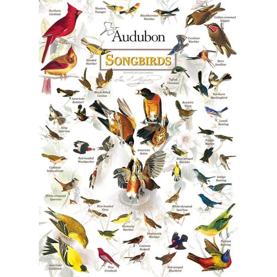 MasterPieces Songbirds 1000-teiliges Puzzle