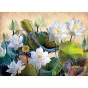 Nova Puzzle Weiße Lotusblumen 1000 Teile