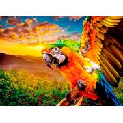 Nova American Parrot Puzzle 1000 Teile