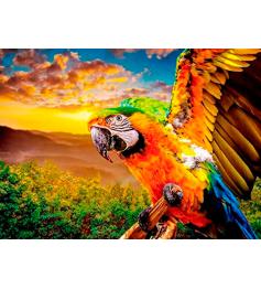 Nova American Parrot Puzzle 1000 Teile