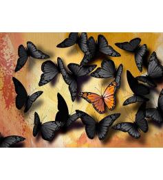 Nova Schmetterlinge Puzzle 1000 Teile