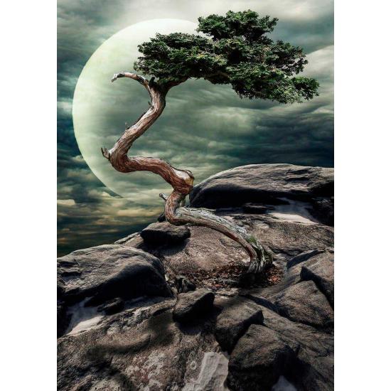 Nova Wunder der Natur Puzzle 1000 Teile