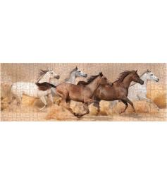 Puzzle Nova Panorama Pferde laufen im Sandsturm