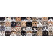Puzzle Nova Panorama Collage von Katzen mit 1000 Teilen
