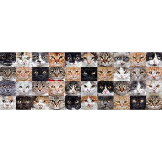 Puzzle Nova Panorama Collage von Katzen mit 1000 Teilen