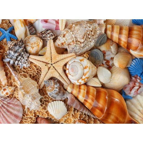 Nova Beach Puzzle 1000 Teile