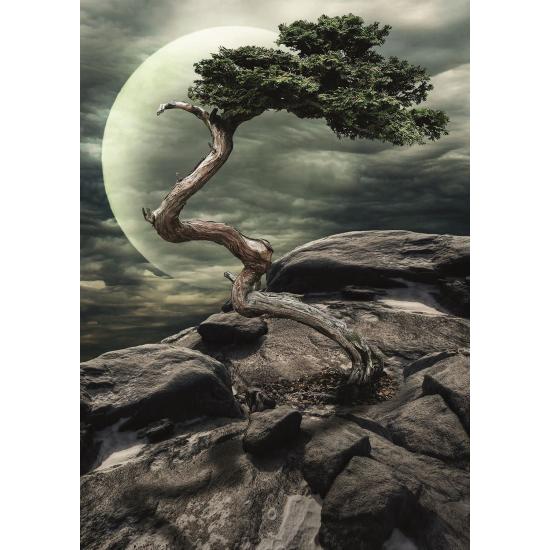 Nova Solo Puzzle 1500 Teile