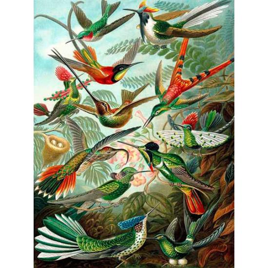 Piatnik Kolibris Puzzle 1000 Teile