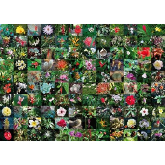 Piatnik Puzzle-Collage aus Blumen mit 1000 Teilen