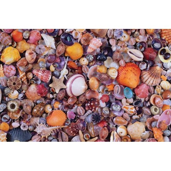Piatnik Puzzle Muscheln 1000 Teile