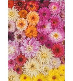 Piatnik Dalias Puzzle 1000 Teile