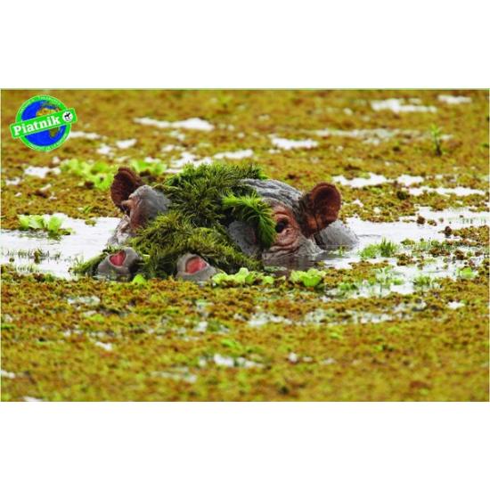 Piatnik Nilpferd-Puzzle 1000 Teile