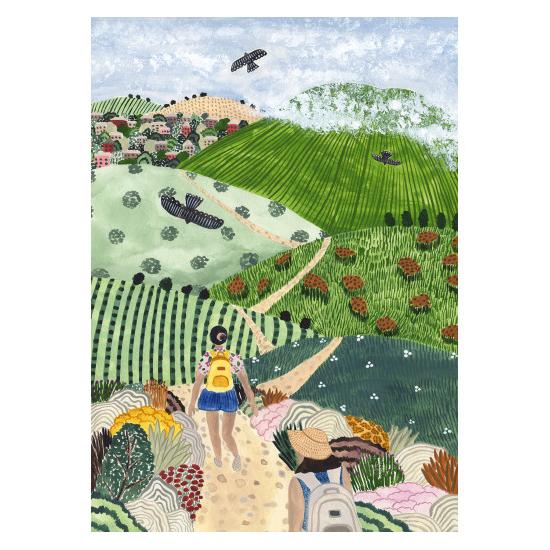 Puzzleteile und Frieden P1000 Wine Country Walk Puzzleteile und Frieden P1000 Wine Country Walk