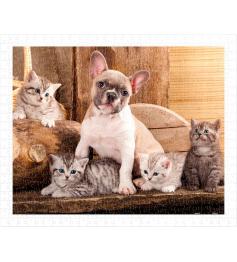 Pintoo Little Kittens and a Dog Puzzle mit 500 Teilen
