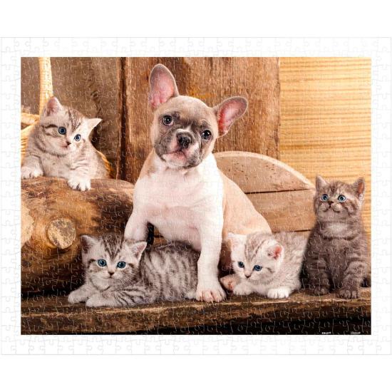 Pintoo Little Kittens and a Dog Puzzle mit 500 Teilen