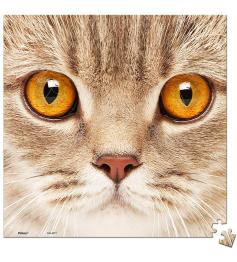 Pintoo Close-Up Cat MINIATUR-Puzzle mit 256 Teilen