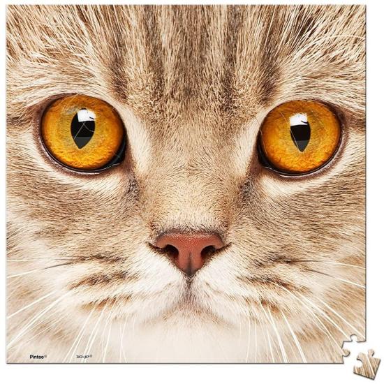 Pintoo Close-Up Cat MINIATUR-Puzzle mit 256 Teilen
