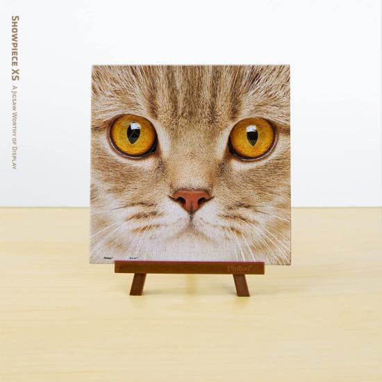 Pintoo Close-Up Cat MINIATUR-Puzzle mit 256 Teilen