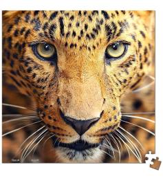 Pintoo Nahaufnahme-Leopard-MINIATUR-Puzzle mit 256 Teilen