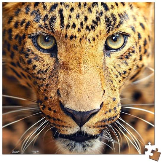 Pintoo Nahaufnahme-Leopard-MINIATUR-Puzzle mit 256 Teilen