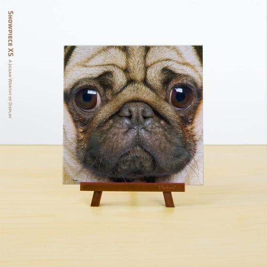 Pintoo Nahaufnahme-Mops-Miniatur-Puzzle mit 256 Teilen