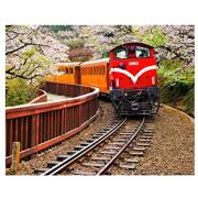 Pintoo Forest Train im Alishan National Park Puzzle von 500 P