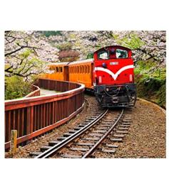 Pintoo Forest Train im Alishan National Park Puzzle von 500 P