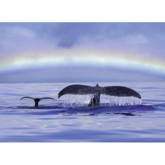 Ravensburger Wale im Ozean 500-teiliges Puzzle