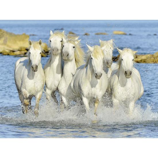 Ravensburger Pferde am Strand Puzzle 1500 Teile Ravensburger Pferde am Strand Puzzle 1500 Teile