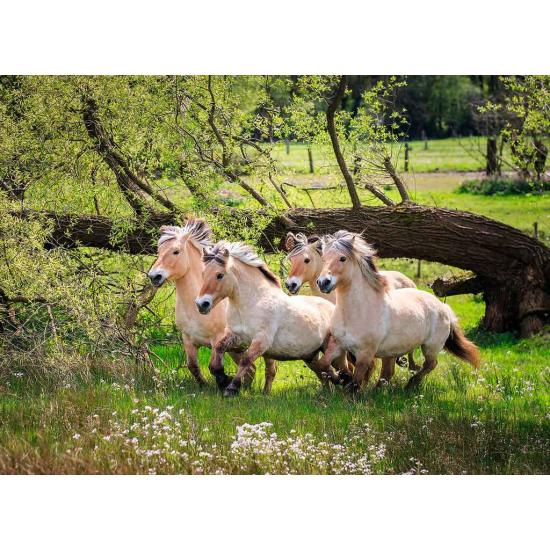 Ravensburger Norwegisches Fjordpferde-Puzzle 500 Teile