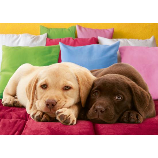 Ravensburger Labrador-Welpen-Puzzle 1000 Teile