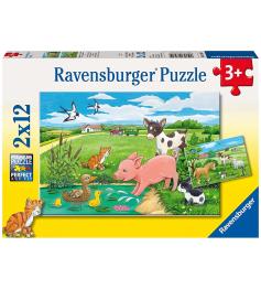 Ravensburger Welpen im Feld-Puzzle 2x12 Teile