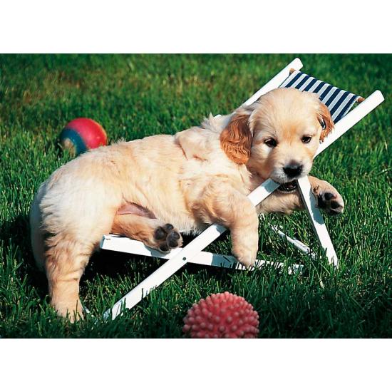 Ravensburger Golden Retriever Welpen Puzzle 500 Teile