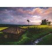 Ravensburger Reisfelder auf Bali 500-teiliges Puzzle
