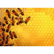 Ravensburger Challenge The Hive Puzzle 1000 Teile