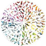 Ravensburger Kreispuzzle Vögel 500 Teile