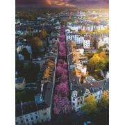 Ravensburger Stadt Bonn Blühendes Puzzle 1500 Teile