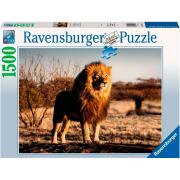 Ravensburger Puzzle Der Löwe, der König der Tiere, 1500 Teile