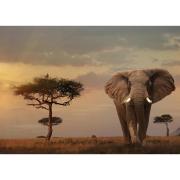 Ravensburger Masai Mara Elefantenpuzzle 1000 Teile