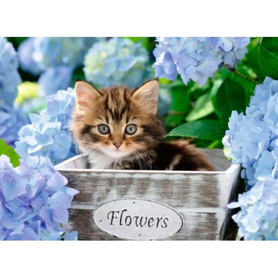 Ravensburger Kätzchen-Puzzle 300 Teile XXL