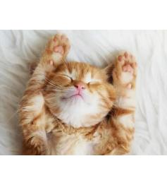 Puzzle Ravensburger Verträumtes Kätzchen 500 Teile