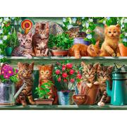 Ravensburger Cats on the Shelf 500-teiliges Puzzle